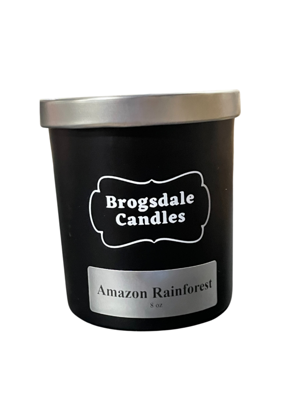 wholesale Amazon Rainforest candle in black jar